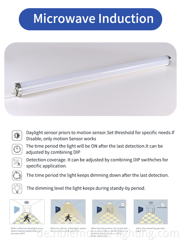 Durable IP65 Emergency Lighting Fixture